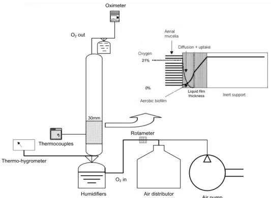 Figure 1 represents the experimental setup and oxy- oxy-gen transfer mechanism in the PUF