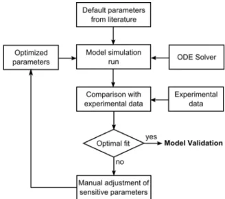 Figure 2: Iterative method used for parameter cali- cali-bration. 