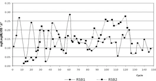 Figure 3: Nitrogen oxidation rate in sequential batch reactors during the cycles.  