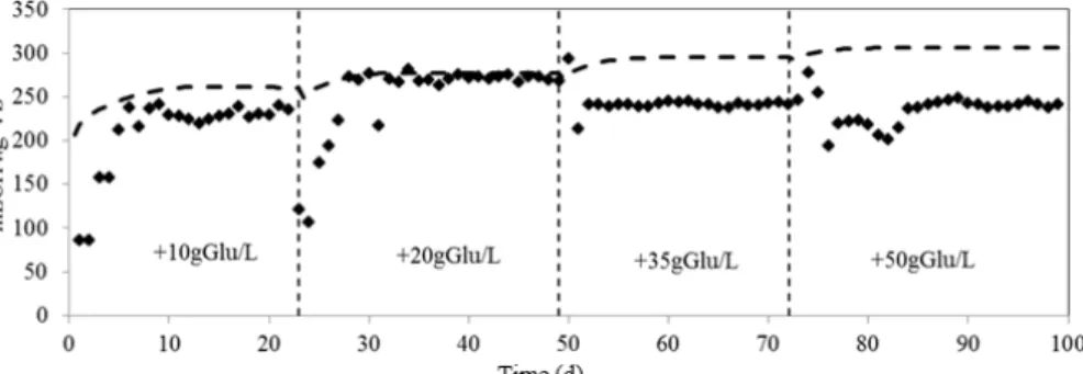Figure 2: Experimental data (♦) and simulation (- - -) for co-digestion of  manure and pure glucose (gradual addition) regarding methane yield