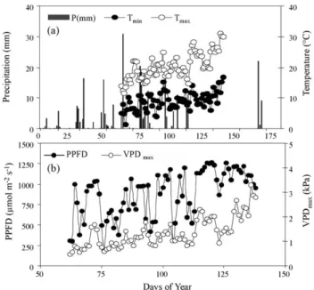 Fig. 2. (a) Daily amounts of precipitation during the early part of the year, minimum and maximum temperatures and (b) light intensity and VPD records above the canopy at the study site in Mitra during spring when ﬁeld measurements were carried out.