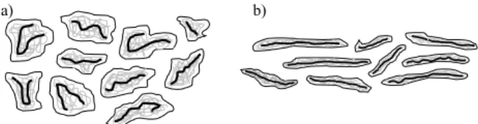 Figure 12: Polymer-micellar aggregate: a) in the  shape of spherical structures, b) elongated during  shear stress action