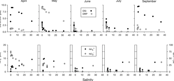 Fig. 5. Nutrient-salinity relationships during the productive season in the Guadiana estuary in 1997