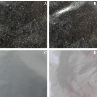 Figure 2: Visual aspects of Ch-G films without al- al-pha-bisabolol (A) and in which the compound was  incorporated by the AS method with water/ethanol  solution (25:75 v/v) at a concentration of 7.5 mg/mL  (B); and PCL films without alpha-bisabolol (C) an