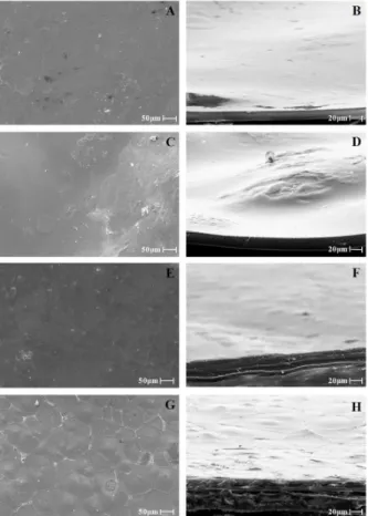 Figure 3: Surface (left) and cross-sectional (right)  morphology of Ch-G films without alpha-bisabolol  (A, B), in which the compound was incorporated by  the AS method with water/ethanol solution (25:75 v/v)  at a concentration of 7.5 mg/mL of alpha-bisab