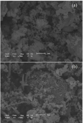 Figure 4: MCM-41 (a) and Ce-MCM-41 (b) EDS  spectra. 