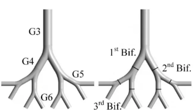 Figure 1: Three-dimensional model with four genera- genera-tions and three bifurcagenera-tions