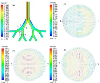 Figure 6: Air flow profile (a) and cross-sections  showing secondary motion (b, c, and d)