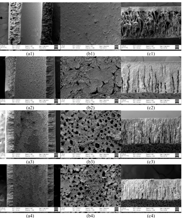 Figure 5 shows AFM images of the outer surface  of the prepared hollow fibre membranes, which are  presented in a 10×10 µm scanning area