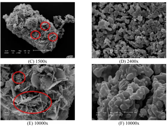 Figure 7: SEM images for reaction products at 700 °C. On the left side, samples with 2.5%Co, on the right side, samples with 5% Co addition