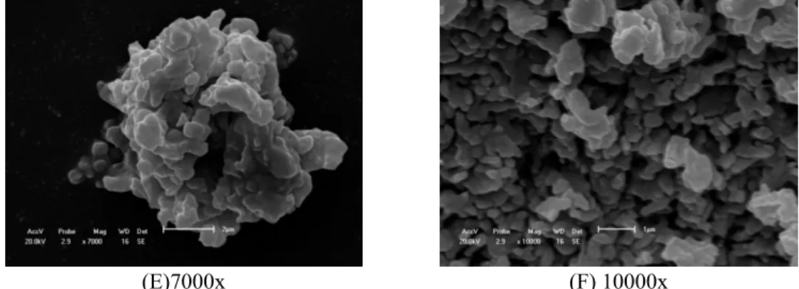 Figure 8: SEM images for reaction products at 750 °C. On the left side samples with 2.5% Co addition, on the right side, samples with 5%Co addition