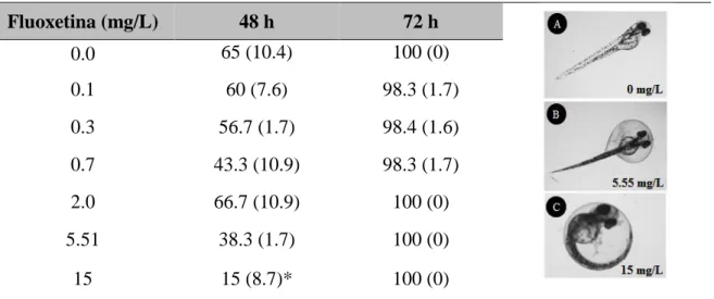 Tabela 1. Percentual de eclosão de embriões de peixe-zebra durante 40 e 72 horas de exposição à FLX  (valores médios ± desvio padrão)