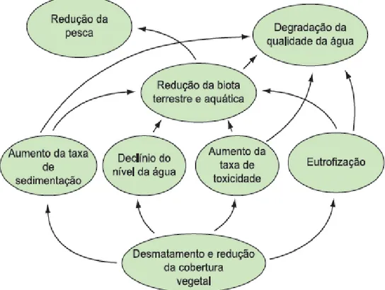 Figura 2: Consequências da remoção da vegetação ripária nos serviçoes ecossistêmicos  prestados aos ecossistemas naturais