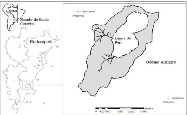 Figura  5:  Localização  geográfica  da  bacia  hidrográfica  da  lagoa  do  Peri  e  os  dois  principais tributários que a abastecem a lagoa do Peri, os riachos Cachoeira Grande (1)  e Ribeirão Grande (2)