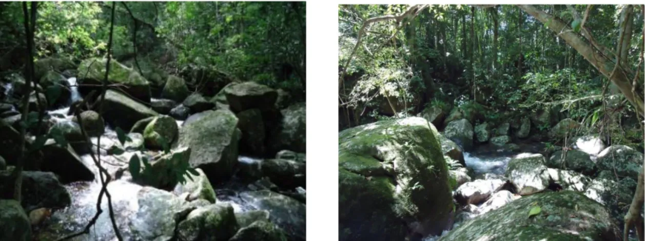 Figura 6: Fotos dos pontos amostrados no riacho Cachoeira Grande, sendo a) Ponto 1 e  b) Ponto 3