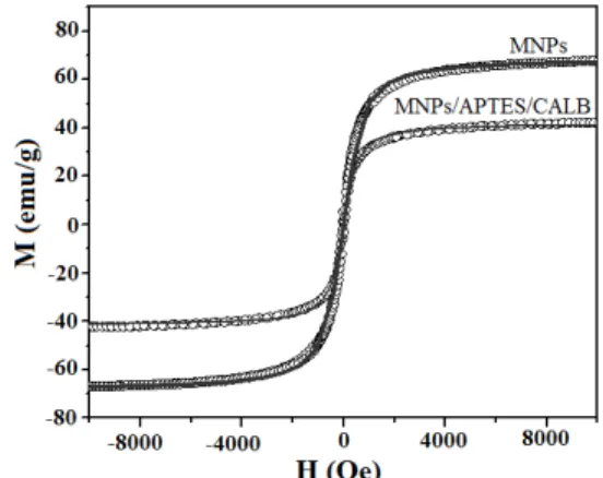 Figure 6: Magnetization curves for samples of mag- mag-netic nanoparticles (MNPs) and Candida antarctica  Lipase B immobilized in MNPs after 3-aminopropyl  triethoxysilane (APTES) functionalization and  glutaral-dehyde (GLU) reticulation (MNP/APTES/CALB)