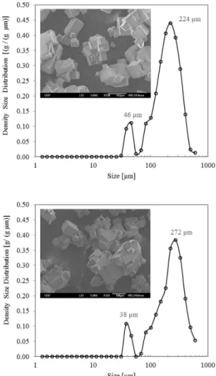 Figure 11:Crystal size distribution and Scanning  Electronic Microscopy of suspended crystals from  E_1B (top) and E_2B (bottom)