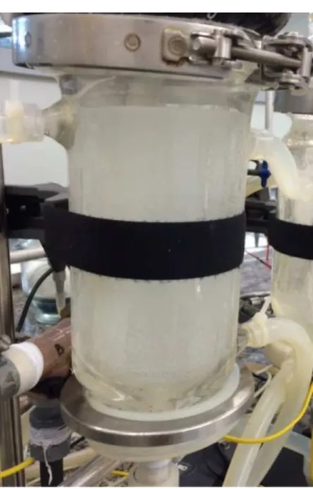Figure 3: Isothermal vessel for crystal observation and  sampling. 