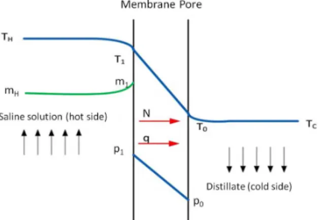 Figure 4: Temperature (T), concentration (m) and vapor pressure (p) profiles across a hydrophobic  membrane pore in DCMD