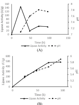 Figure 4: Comparison of lipase activity and pH in  the medium with urea supplementation (A) and  am-monium sulfate supplementation (B)