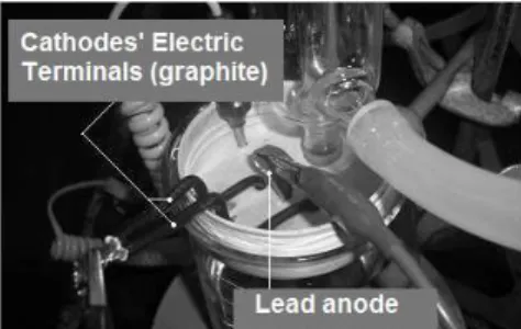 Figure 1: Electrochemical cell developed for pro- pro-duction of EMD. 