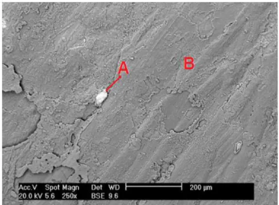 Figure 8: Back–scattered electron image. Morphology  of DME produced using 2.51 A.dm -2 