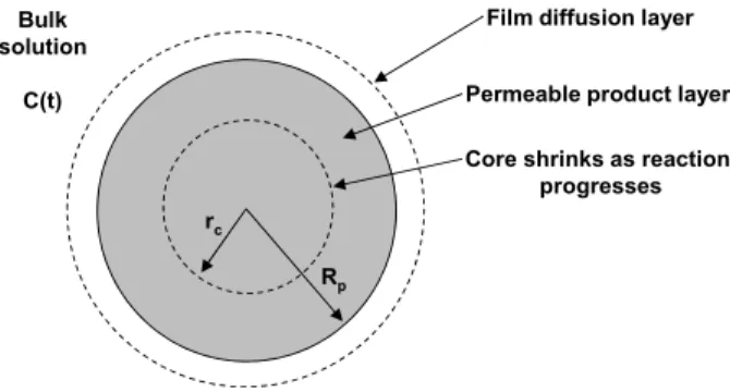 Figure 1: Spherical particle representation using the  shrinking core model.  