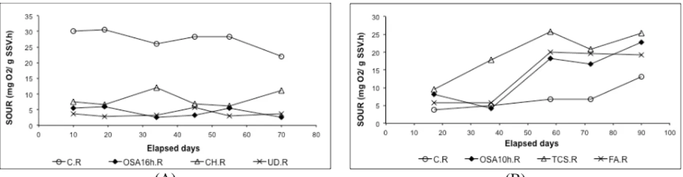 Figure 2: Variations of the specific oxygen uptake rate (SOUR) in the control system and in three sludge  reduction systems