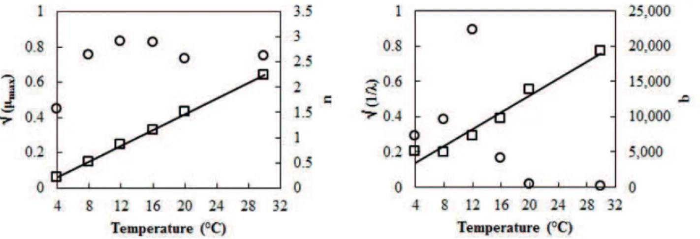 Figure 3. Left: n parameter data (circles), the obtained √µ max  parameter data (squares), and the it of the Square Root secondary model  to the √ µ max  data (line)