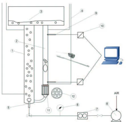 Figure 1. Experimental setup: 1-riser, 2-downcomer, 3-gas separator, 4-piezometric tubes, 5-gas distributor, 6-manometer,  7-mass  low  controller,  8-air  compressor,  9-conductivity  electrode,  10-conductivity  isopod,  11-membrane  module,  12-membrane