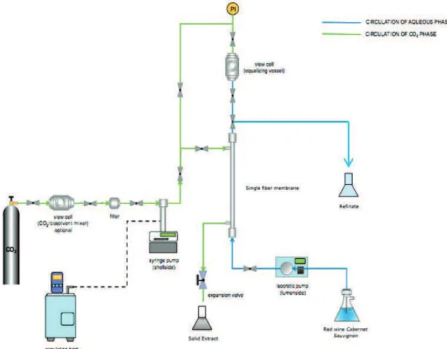 Figure 1 . Setup of the continuous system for supercritical luid extraction. (Adapted from Bocquet et al., 2007)