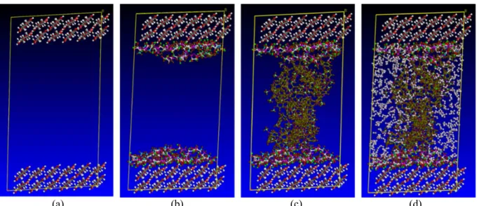 Figure 1: Steps in the construction of the whole biomass (cell wall) molecular model: (a) cellulose chain layers; (b) cellulose/hemicellulose-ferulate complex; (c) cellulose/hemicellulose-ferulate/lignin, the lignin was  modeled as 50 guaiacyl units with β