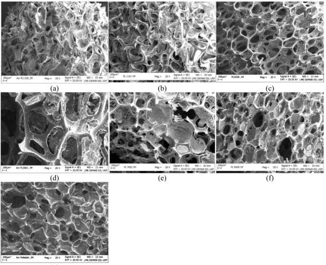 Figure 4: SEM images of M. circinelloides immobilized on PUFs (a) PL1100, (b) PL1101, (c) PL3000, (d) PL3001, (e) PL3002, (f) PL6000, (g) Polyester