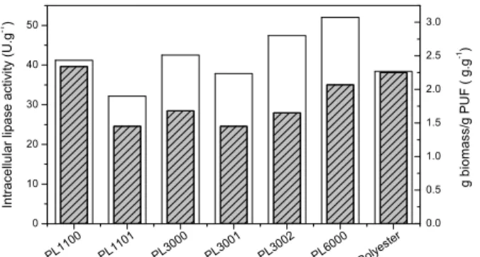Figure 6: FAEE yields attained as function of time  in the ethanolysis of babassu oil using M