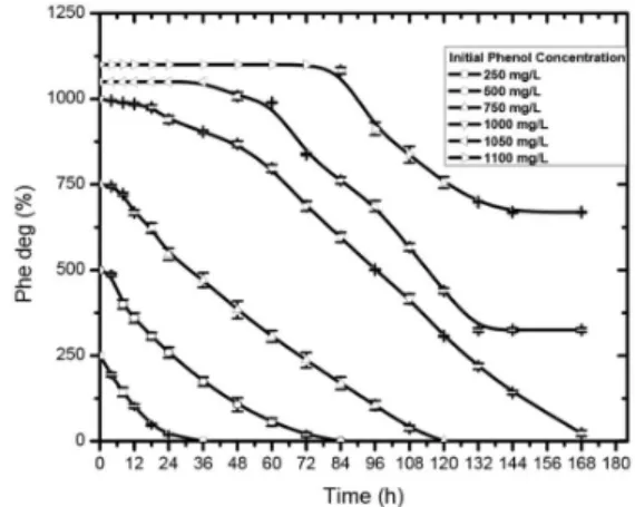 Figure 5: Growth profile of the isolate Pseudomo- Pseudomo-nas sp. NBM11 at different initial concentrations of  phenol