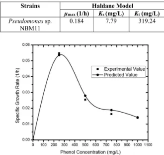 Figure 9 establishes that the specific growth rate  increases with the increment in the initial phenol  concentration up to a certain phenol concentration,  after which it starts decreasing with the increase in  phenol concentration