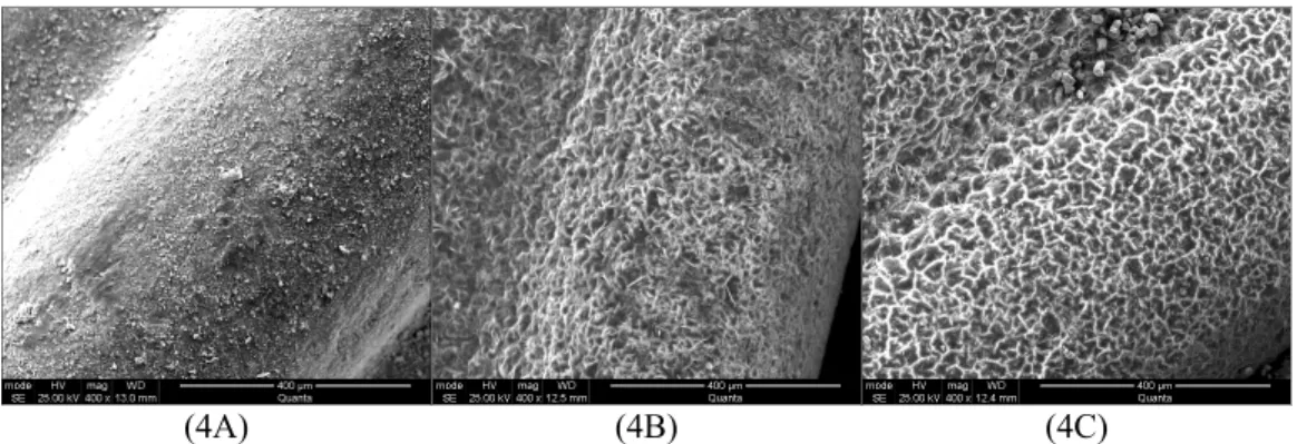 Table 4: Concentration of metals in samples of the  spent HDS catalyst obtained by EDS before and  after chemical (CL) or microbial (ML) leaching