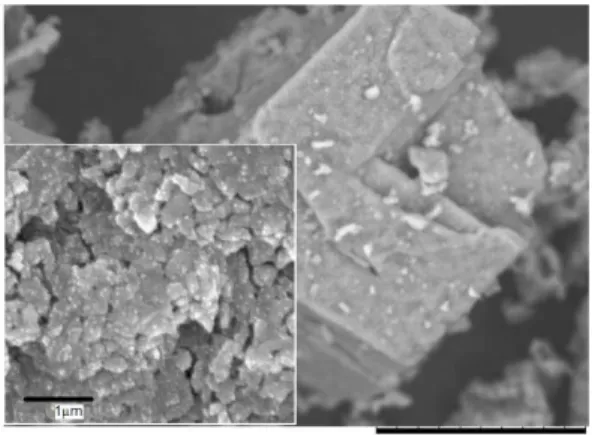 Figure 8: SEM of C limestone. Calcination tempera- tempera-ture 850 ºC. Sintering can only be observed at higher  magnification