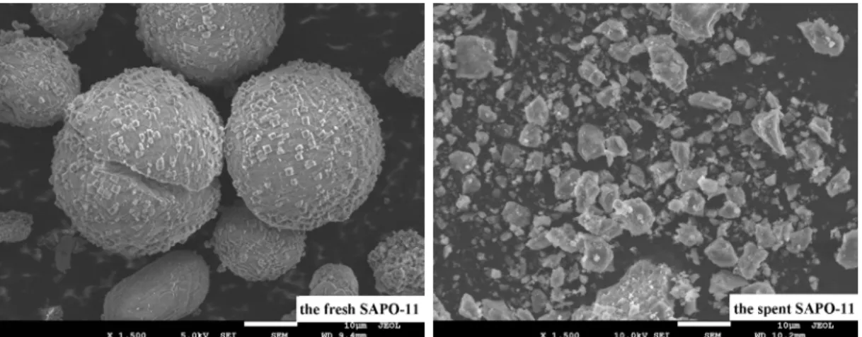 Figure 8: SEM images of the fresh and the spent SAPO-11. 