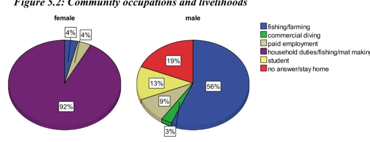 Figure 5.2: Community occupations and livelihoods 