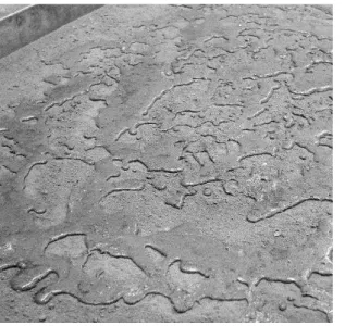 Figure 1 - Preparation of soil-cement with chemical stabilizer, noting the “impermeability” of the  mixture (soil, cement and chemical stabilizer) 