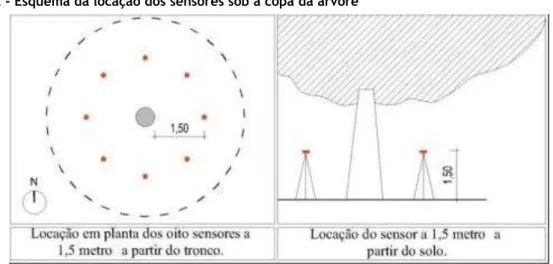 Figura 2 - Esquema da locação dos sensores sob a copa da árvore 