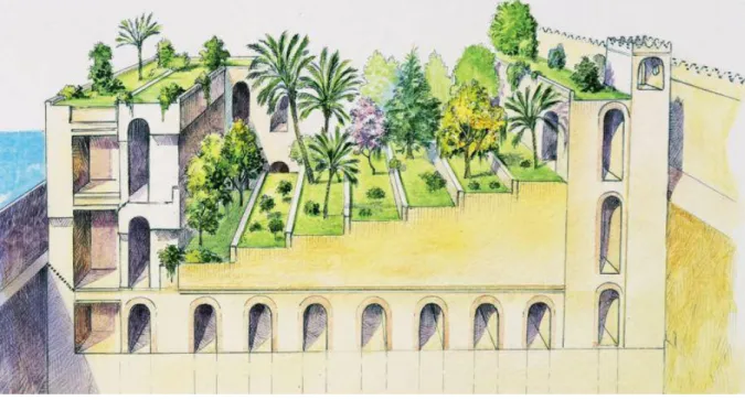 Figura  1  -  Retrato  da  secção  transversal  daquilo  que  os  estudiosos  julgam  ter  sido  os  antigos  Jardins  Suspensos da Babilónia