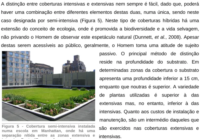 Figura  5  -  Cobertura  semi-intensiva  instalada  numa  escola  em  Manhattan,  onde  há  uma  separação  nítida  entre  as  zonas  extensiva  e  intensiva