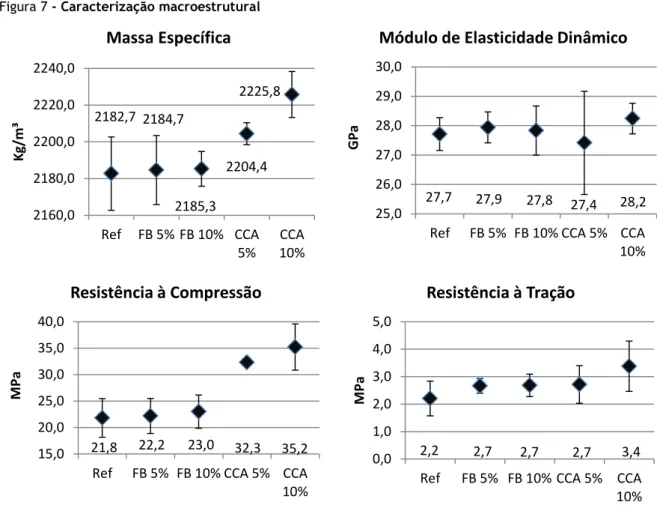 Figura 7 - Caracterização macroestrutural 