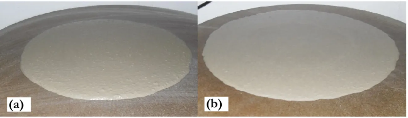 Figura 3: Aparência superficial das argamassas no estado fresco: (a) argamassa coesa; (b) argamassa   iminente para exsudar e segregar