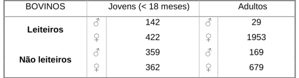 Tabela 2 - Número de bovinos, de acordo com o grupo etário e a aptidão, da O.P.P. de MMV  BOVINOS       Jovens (&lt; 18 meses)            Adultos 