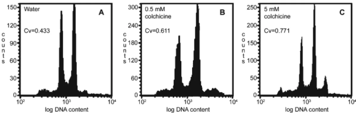 Fig. 2 A–C. Histogram of relative DNA content was obtained by flow-cytometric analysis of propidium iodide-stained nuclei released from Secale cereale root tips after 24 h of recovery from treatments