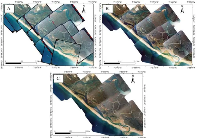 Figure 2.2 - Example concerning the flight of 1996 where it is visible the mosaicking process: 
