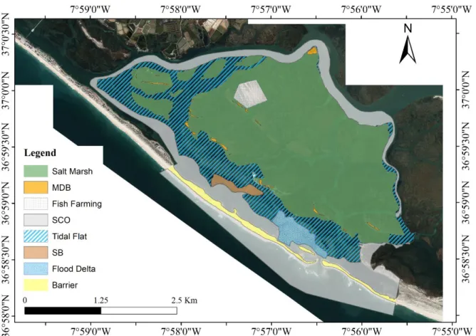 Figure 2.3 - Representation of the different morphology present in the study area: Salt Marsh,  Marsh  Detached  Beach  (MDB),  Fish  Farming,  Tidal  Flat,  Sand  Banks  (SB),  Flood  Delta,  Barrier, Secondary Channels and Others (SCO)